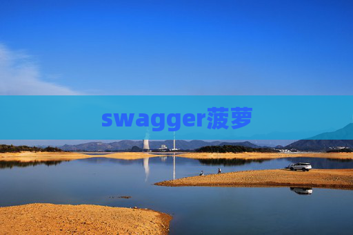 swagger菠萝