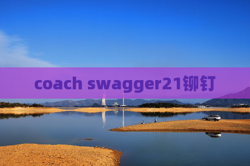 coach swagger21铆钉